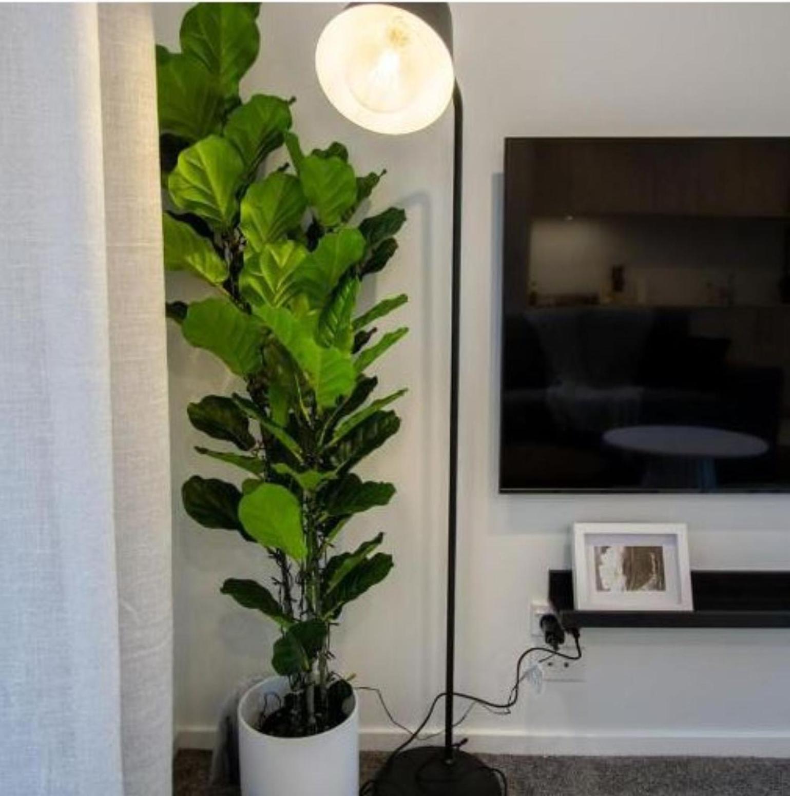 A Touch Of Luxury In Chch Cbd Apartment Christchurch Exterior photo